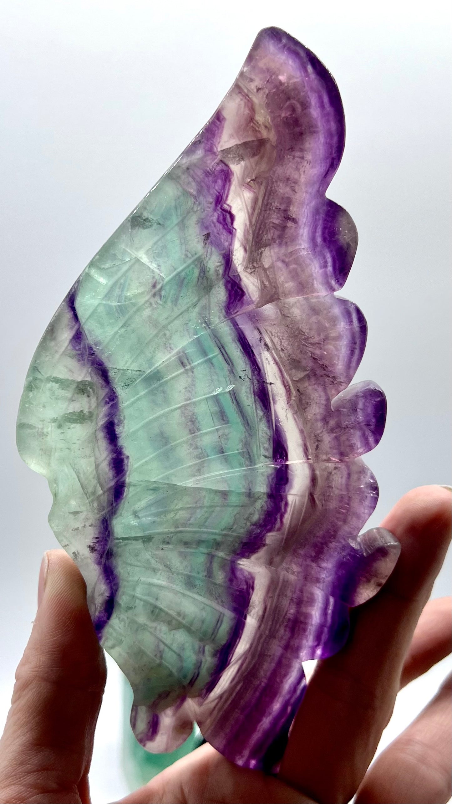 Fluorite Butterfly