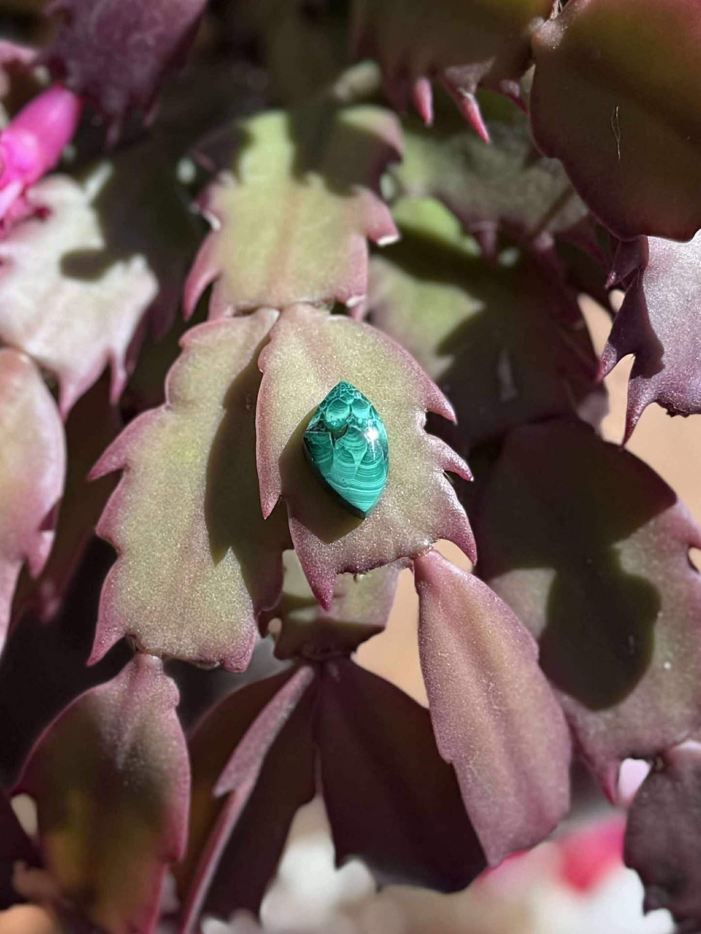Close-up of malachite showing natural green banding and pattern