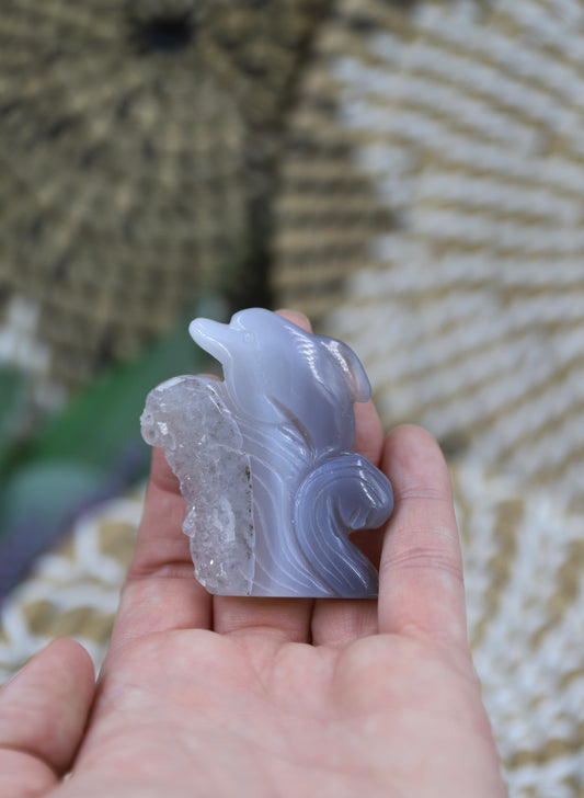 Druzy Agate Dolphin Carving