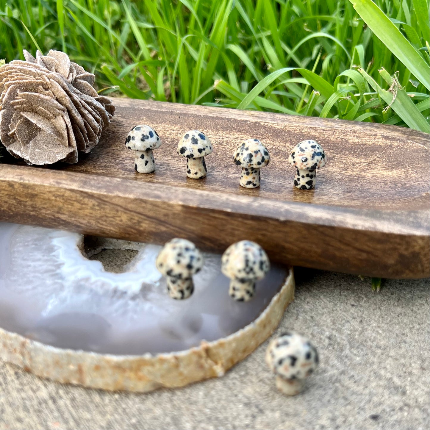 Dalmatian Jasper Mini Mushroom