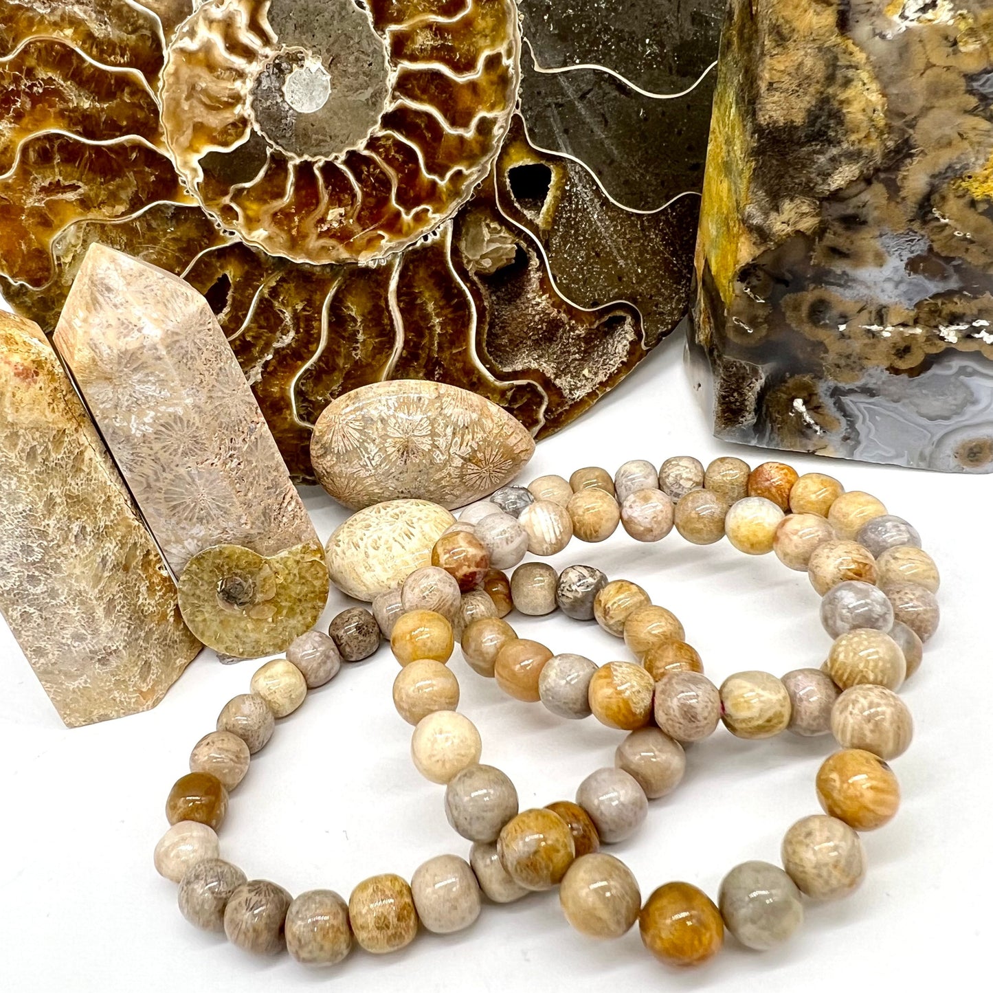 Fossilized Coral Bracelet - Inner Peace, Luck, Wealth, Protection