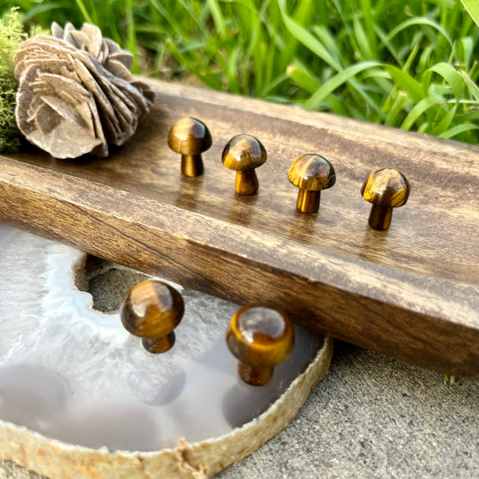 Tiger Eye Mini Mushroom