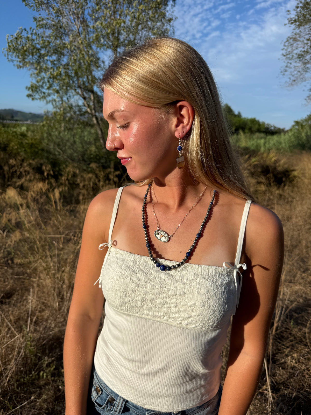 Montana Agate & Lapis Lazuli Sterling Silver Dangle Earrings | Montana Collection