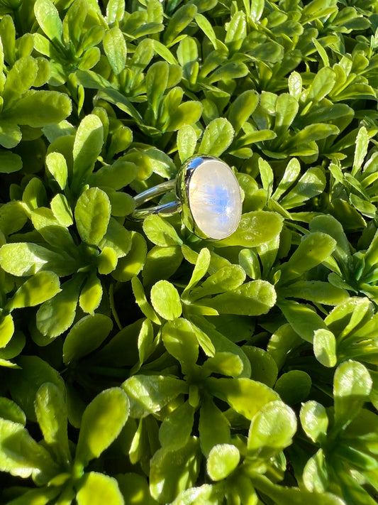 Rainbow Moonstone Sterling Silver Ring - Nurturing, Relaxation, Motivation, Joy, Trust
