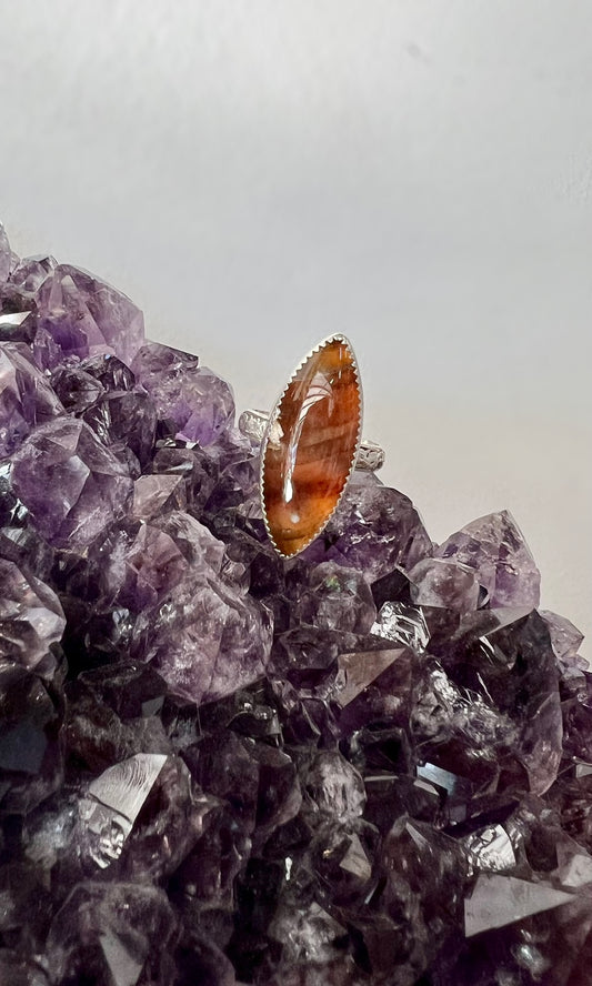 Montana Petrified Wood Sterling Silver Ring - Truth, Abundance, Trust, Growth, Calming