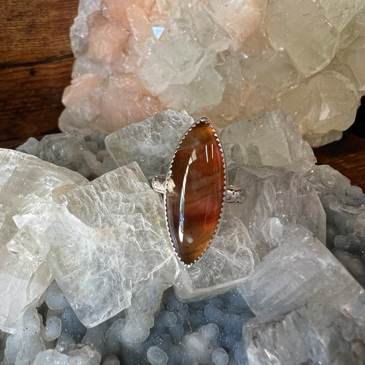 Montana Petrified Wood Sterling Silver Ring - Truth, Abundance, Trust, Growth, Calming