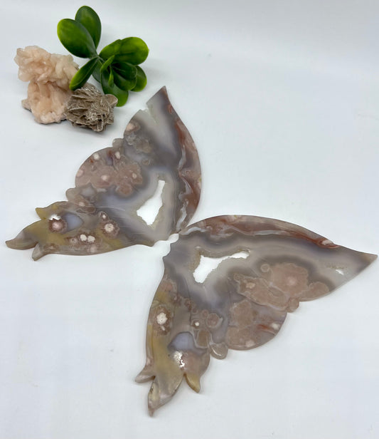 Flower Agate Butterfly