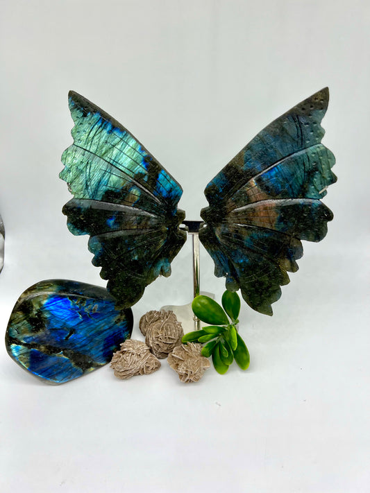 Labradorite Butterfly Wings with Stand