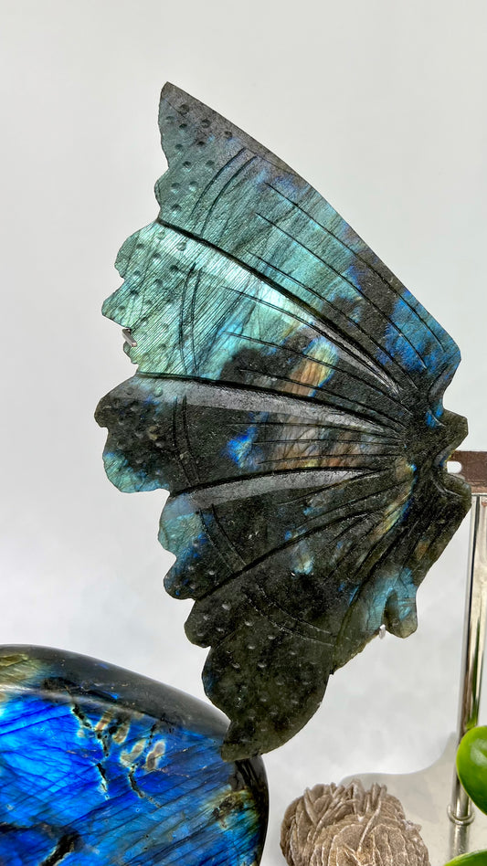 Labradorite Butterfly Wings with Stand