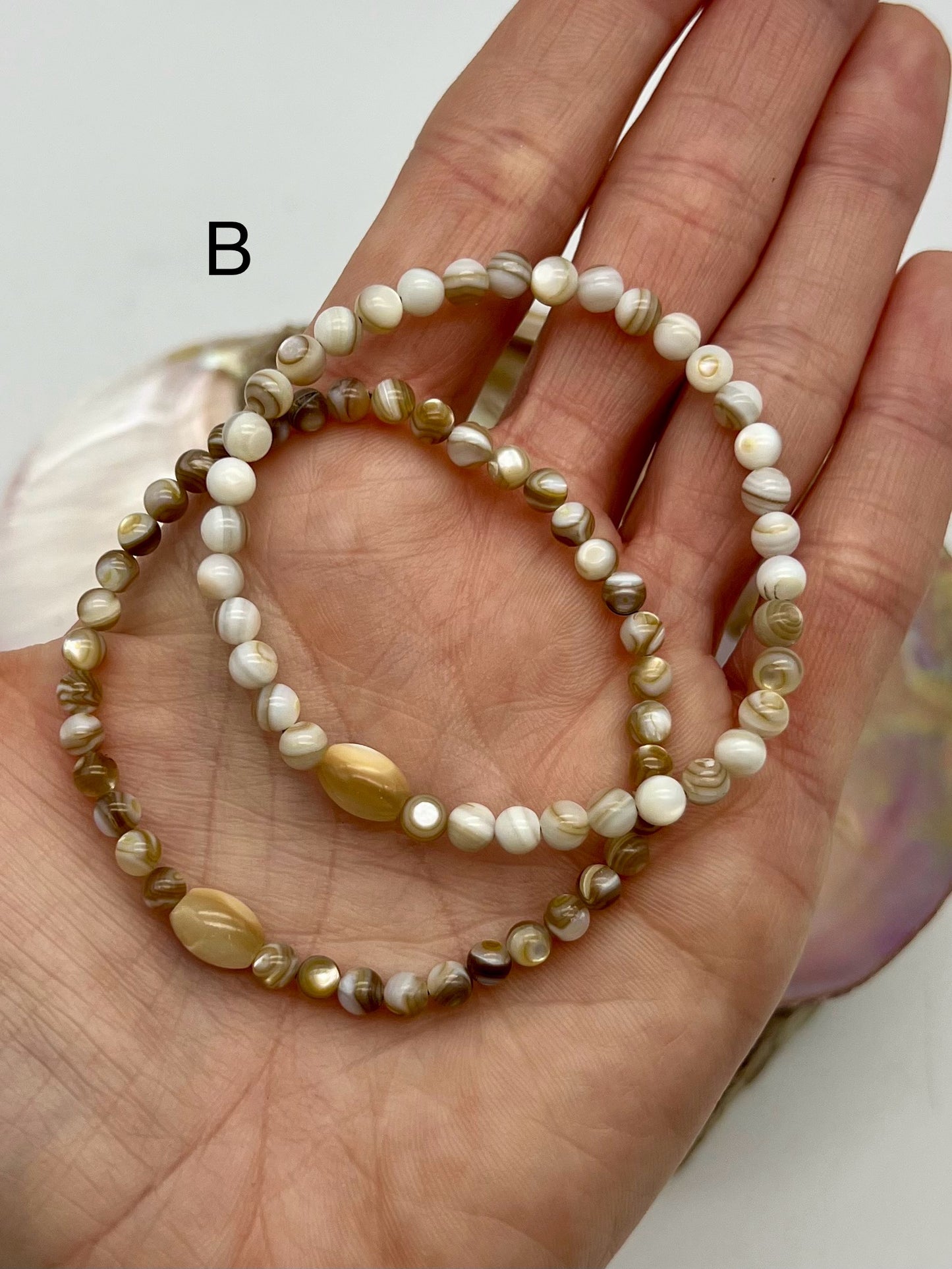 Shell Bracelet - Protection, Intuition, Sensitivity, Imagination