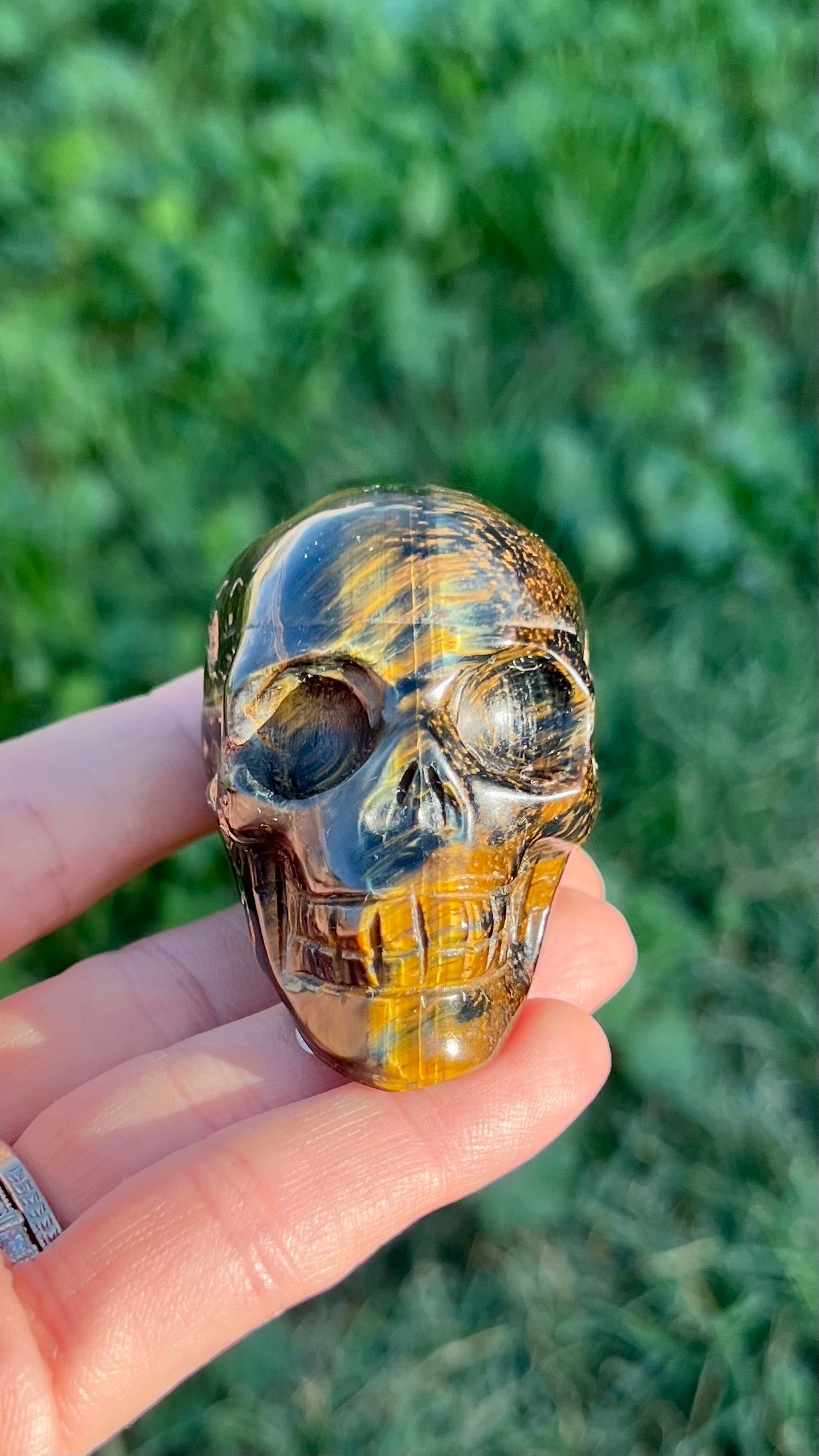 Blue Tigers Eye Skull Medium
