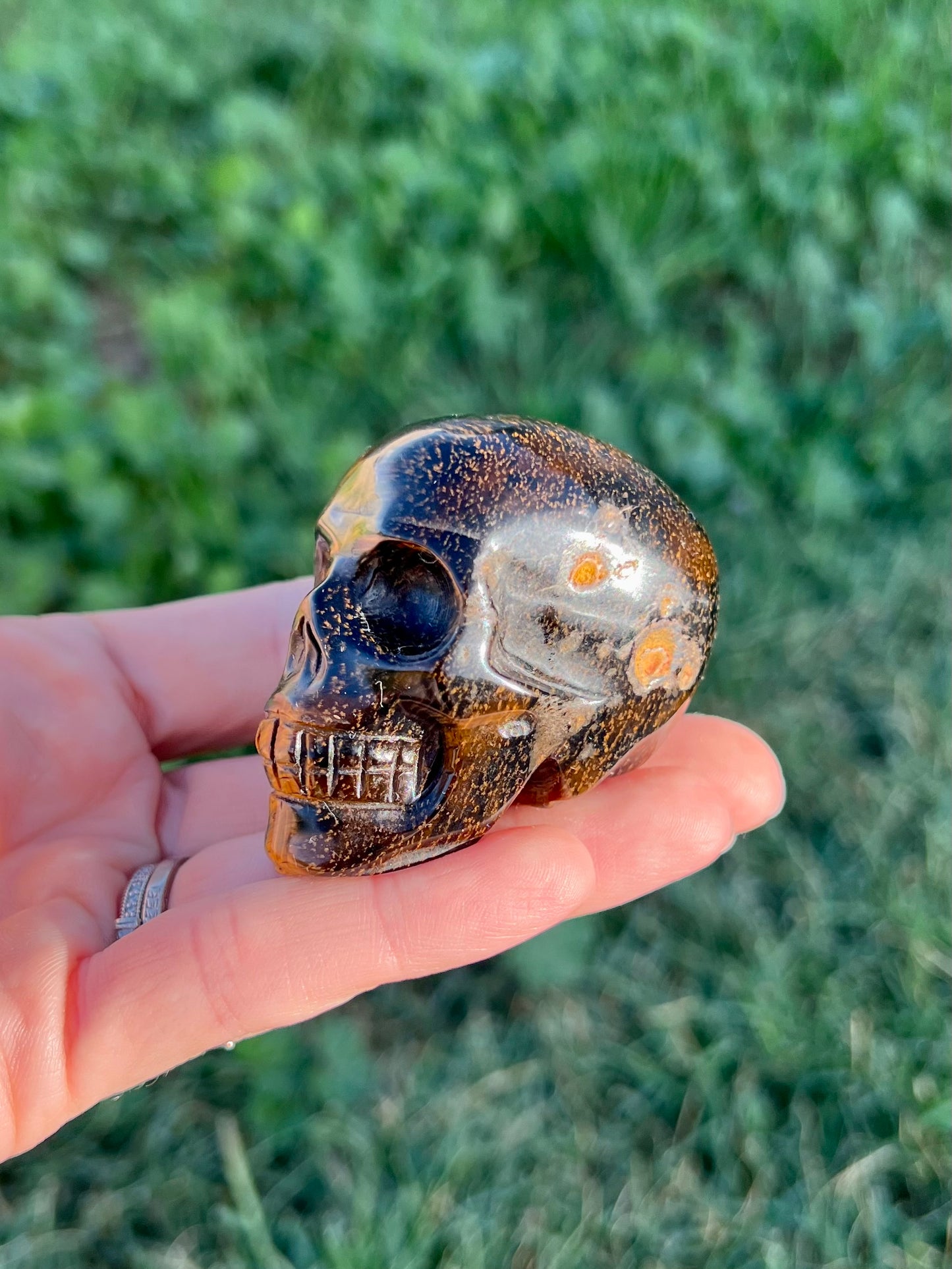 Blue Tigers Eye Skull Medium