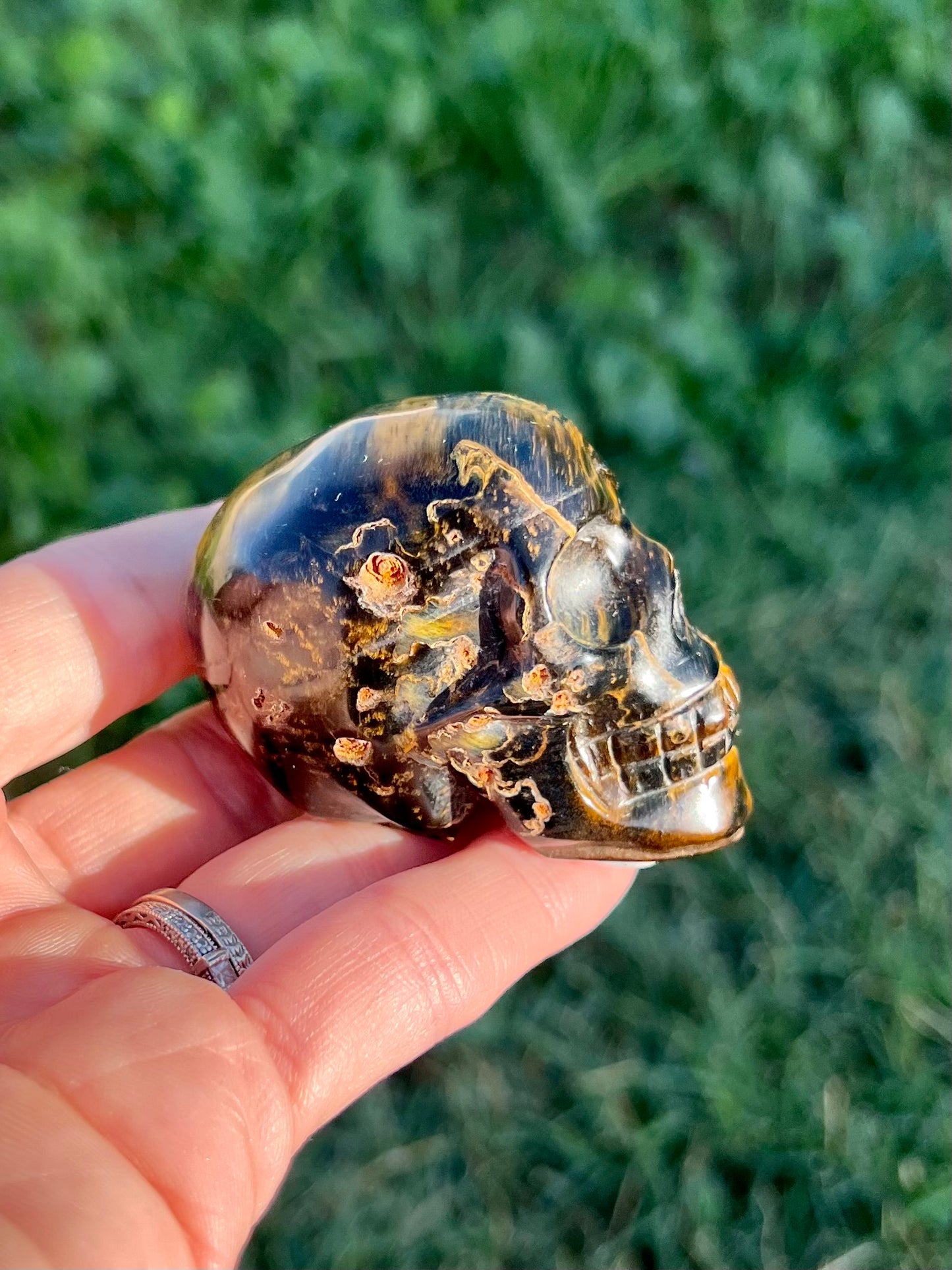 Blue Tigers Eye Skull Medium