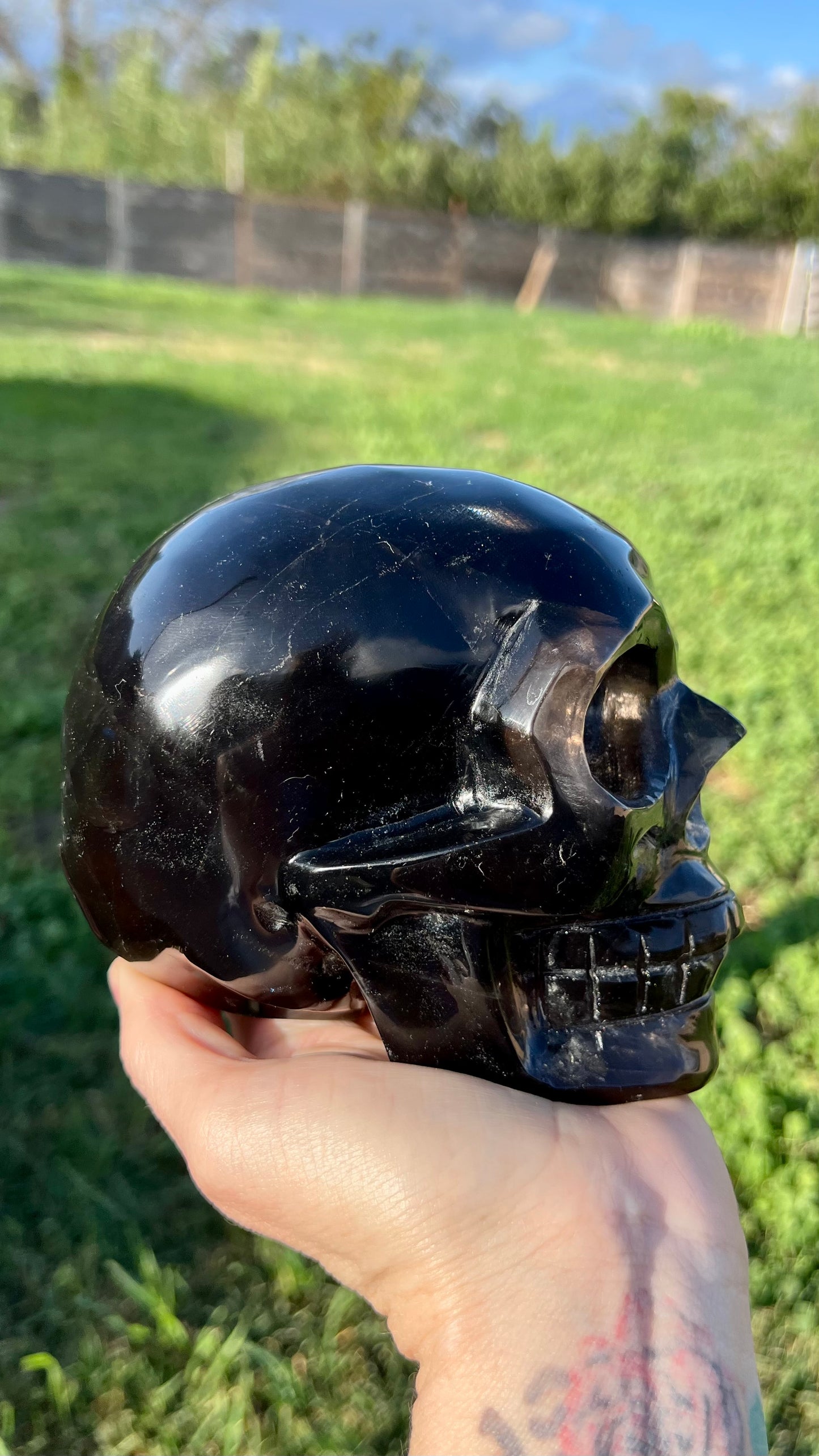 Smokey Quartz Skull XXLarge