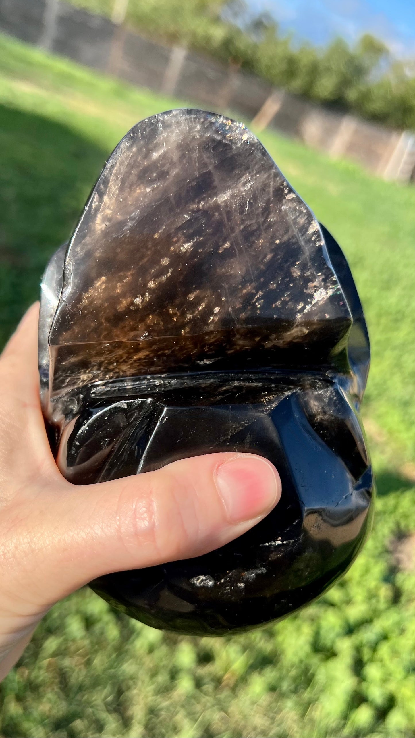 Smokey Quartz Skull XXLarge