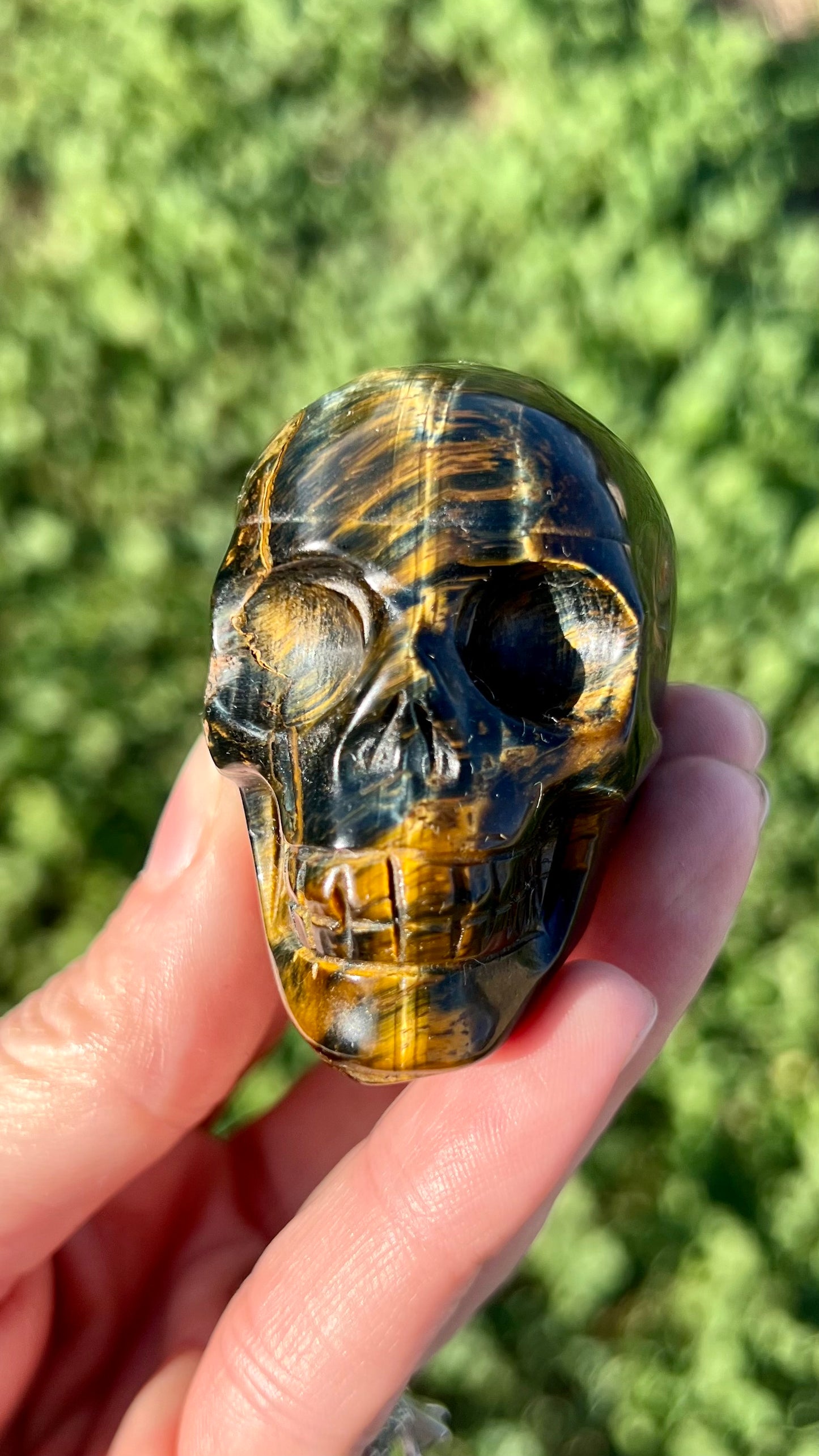 Blue Tigers Eye Skull Medium
