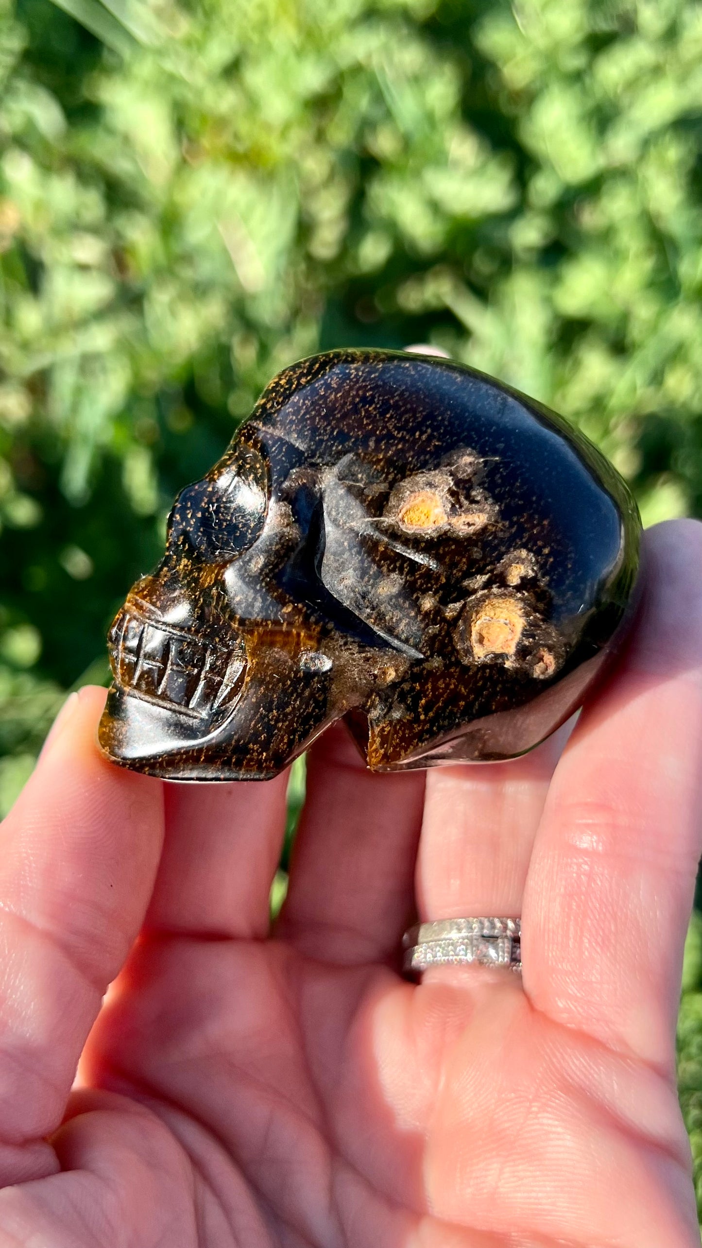 Blue Tigers Eye Skull Medium