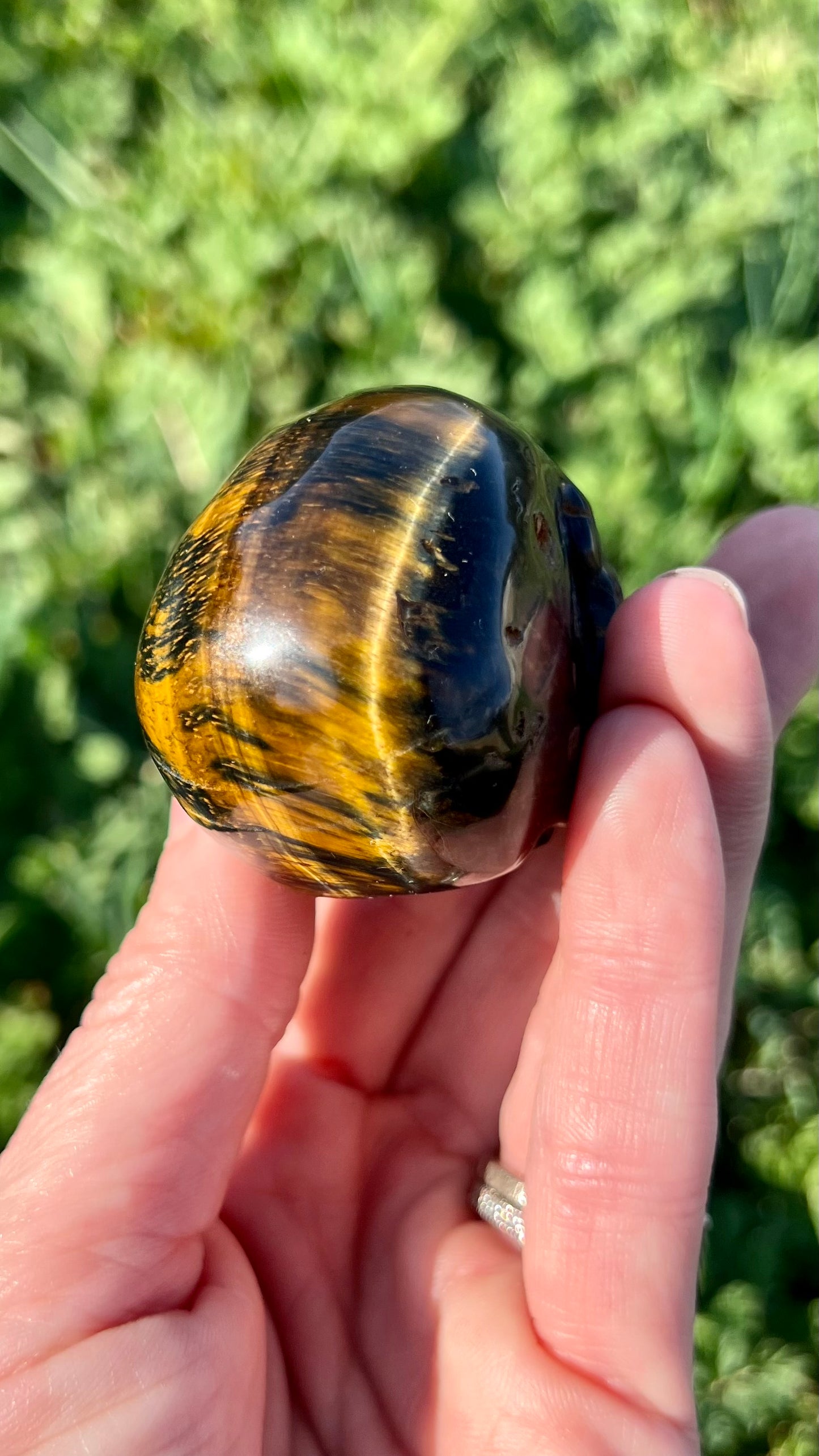 Blue Tigers Eye Skull Medium