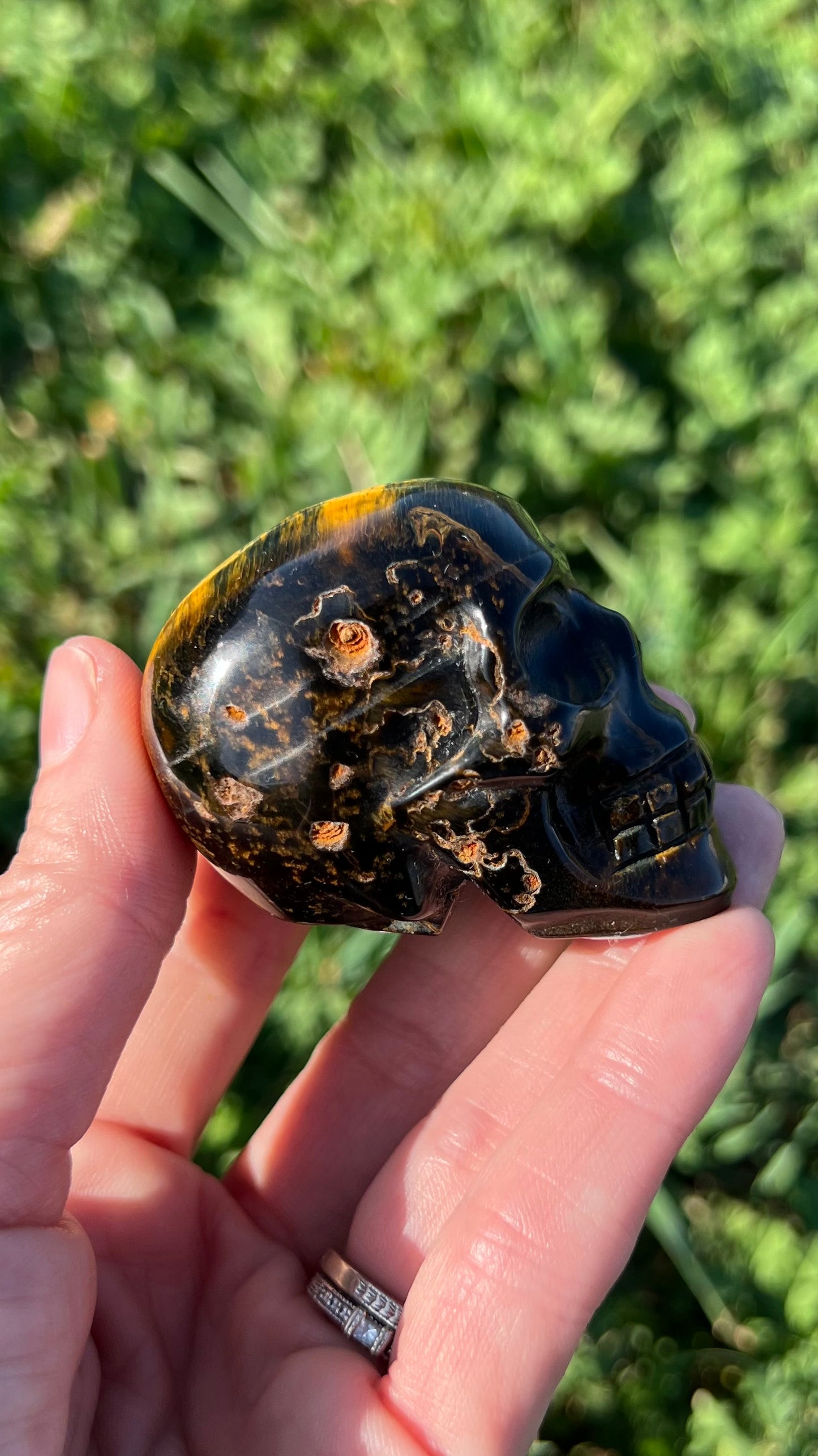 Blue Tigers Eye Skull Medium