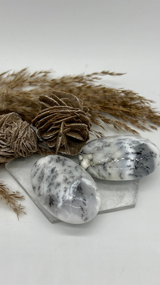 White Dendritic Opal Premium Palm Stone