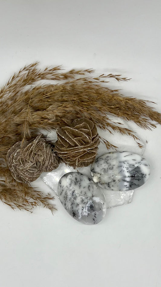 White Dendritic Opal Premium Palm Stone