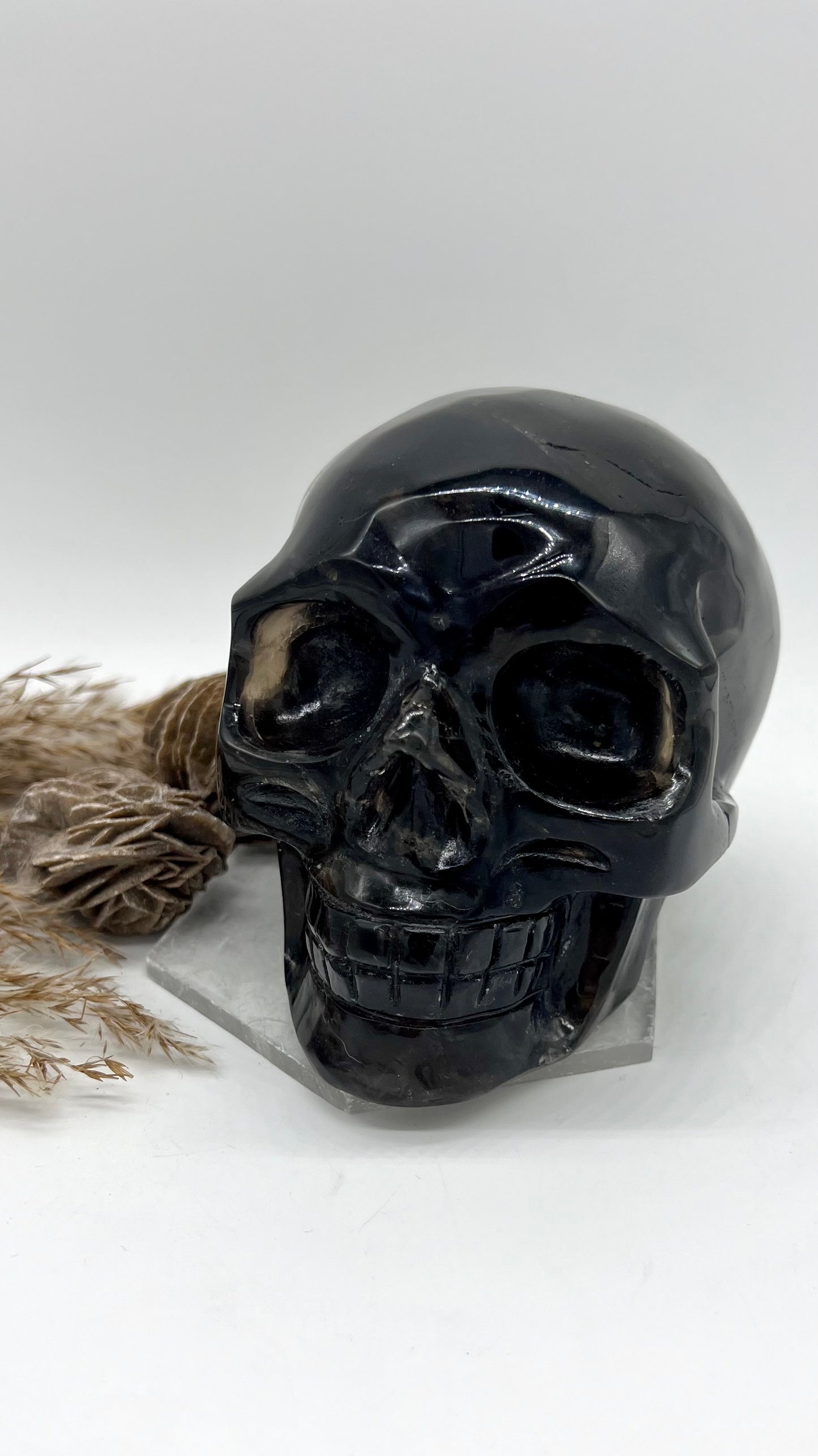 Smokey Quartz Skull XXLarge