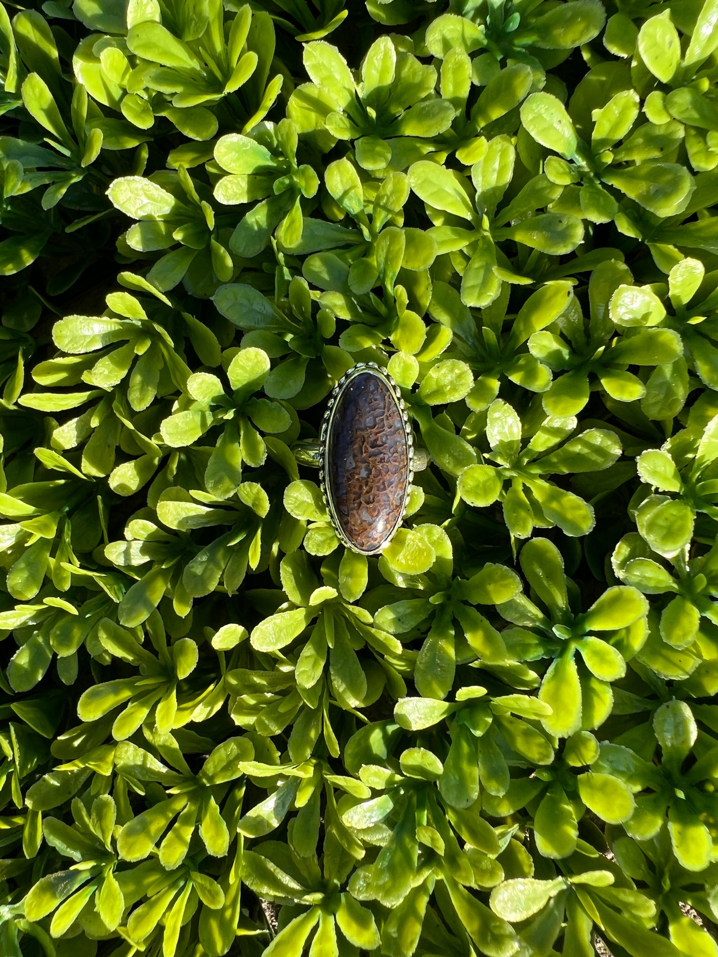 Dinosaur Bone Sterling Silver Ring - Mental Stability, Communication, Enhance Memory, Calms Anxiety