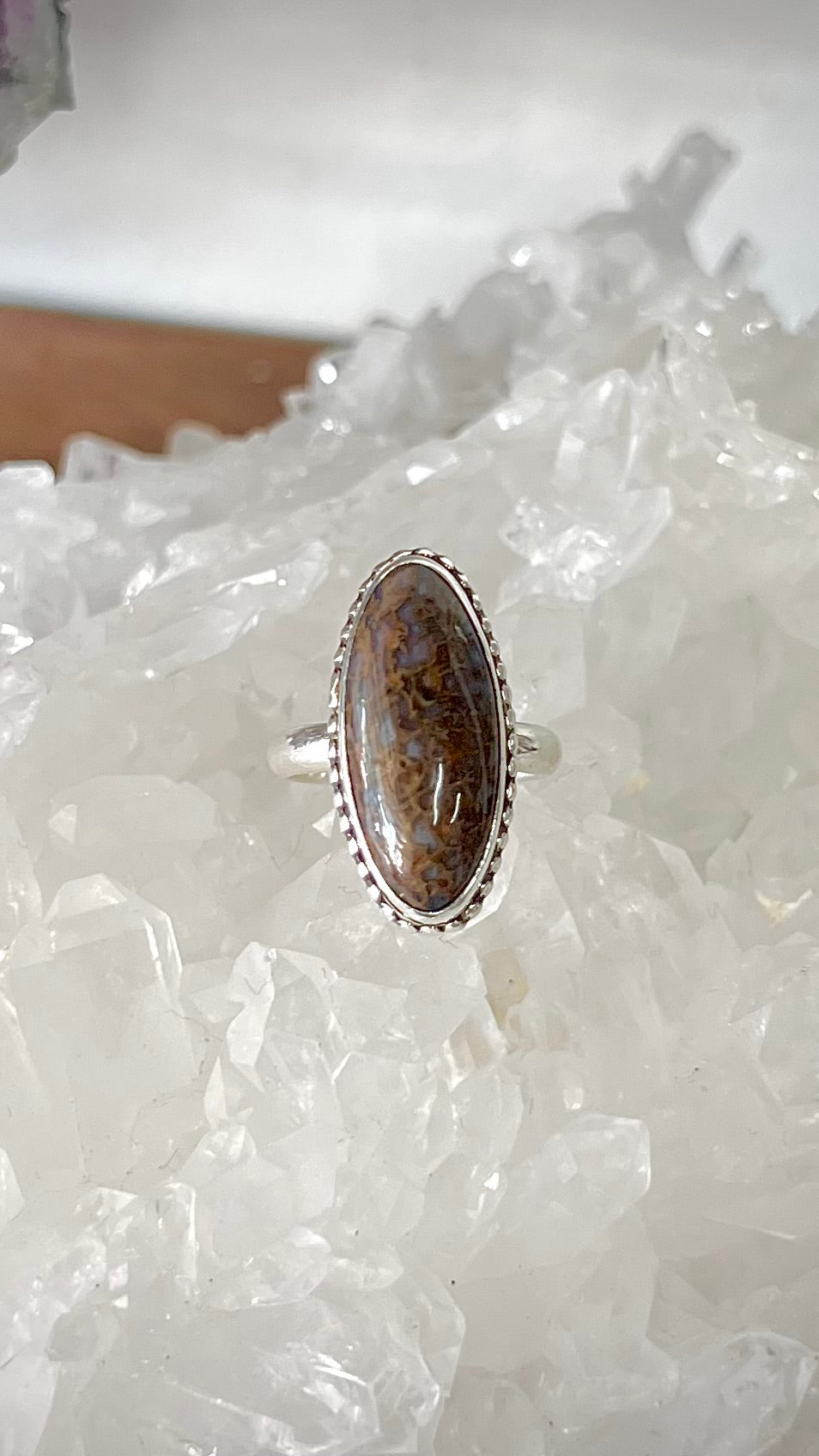 Dinosaur Bone Sterling Silver Ring - Mental Stability, Communication, Enhance Memory, Calms Anxiety