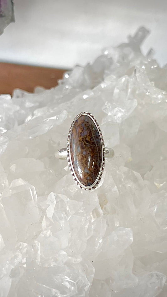 Dinosaur Bone Sterling Silver Ring - Mental Stability, Communication, Enhance Memory, Calms Anxiety