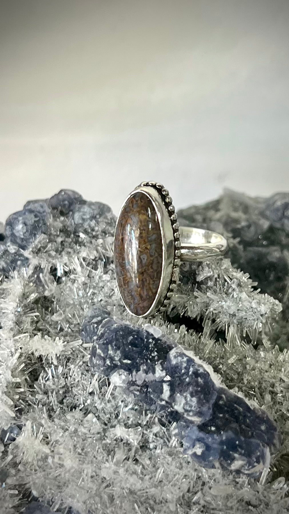 Dinosaur Bone Sterling Silver Ring - Mental Stability, Communication, Enhance Memory, Calms Anxiety