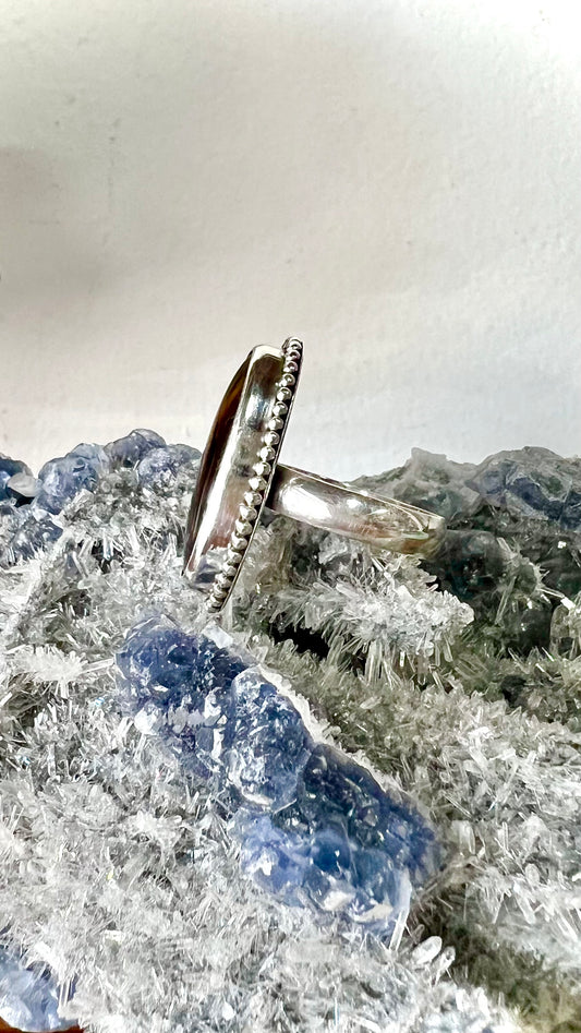 Montana Petrified Wood Sterling Silver Ring - Truth, Abundance, Trust, Growth, Calming