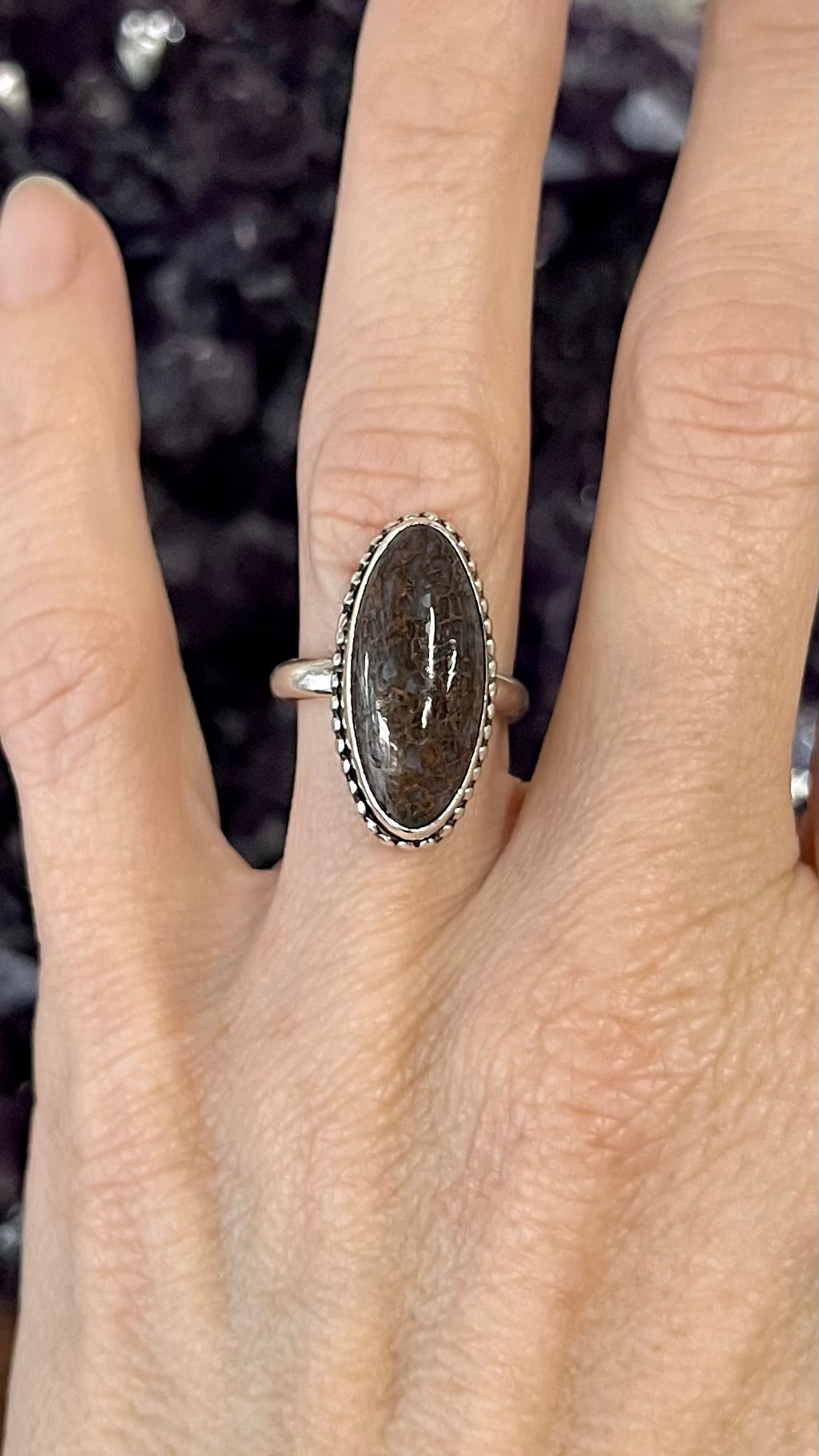 Dinosaur Bone Sterling Silver Ring - Mental Stability, Communication, Enhance Memory, Calms Anxiety