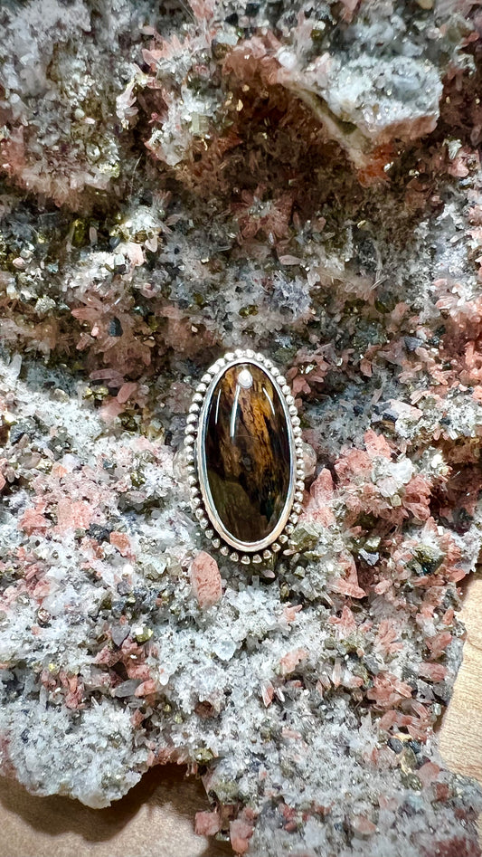 Montana Petrified Wood Sterling Silver Ring - Truth, Abundance, Trust, Growth, Calming