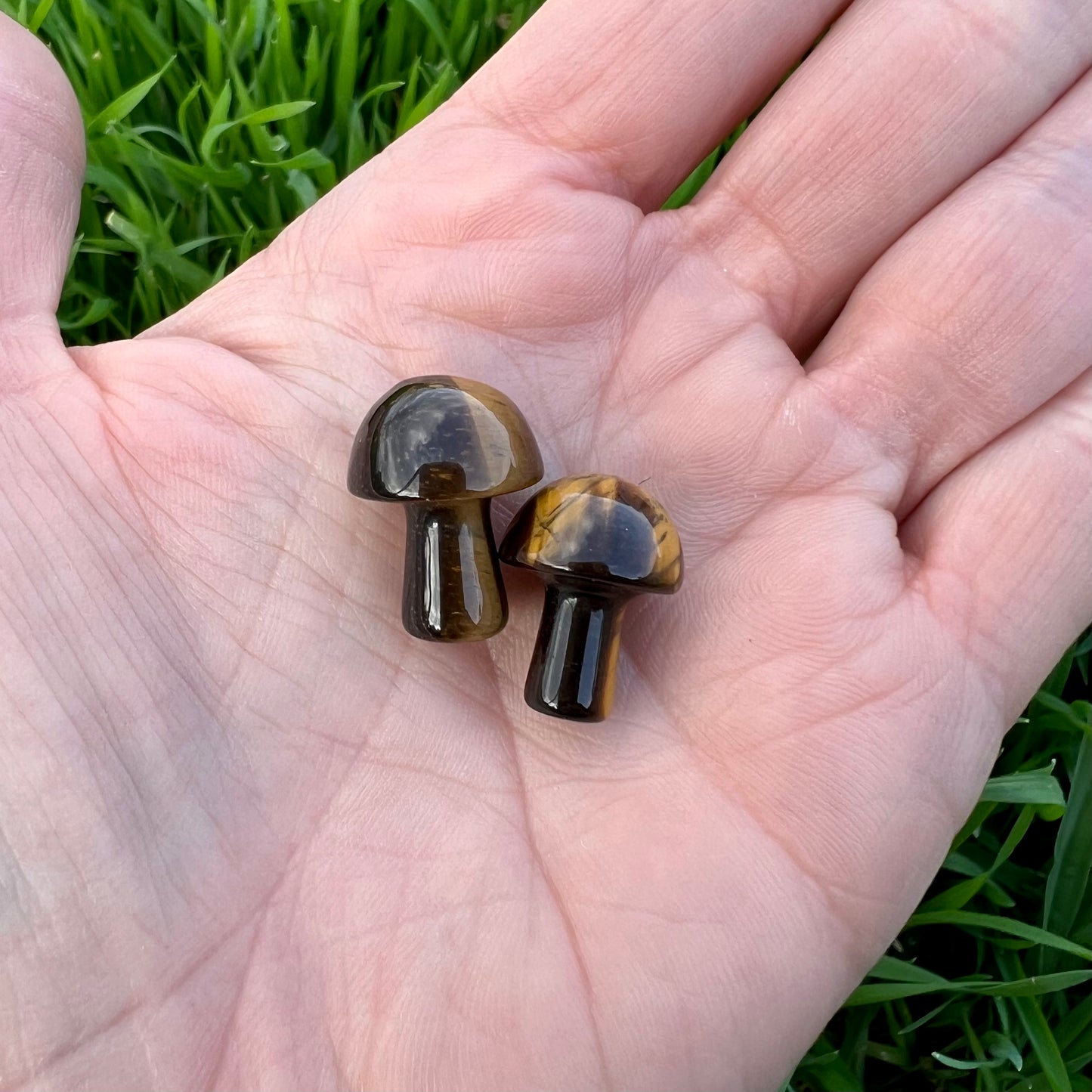 Tiger Eye Mini Mushroom