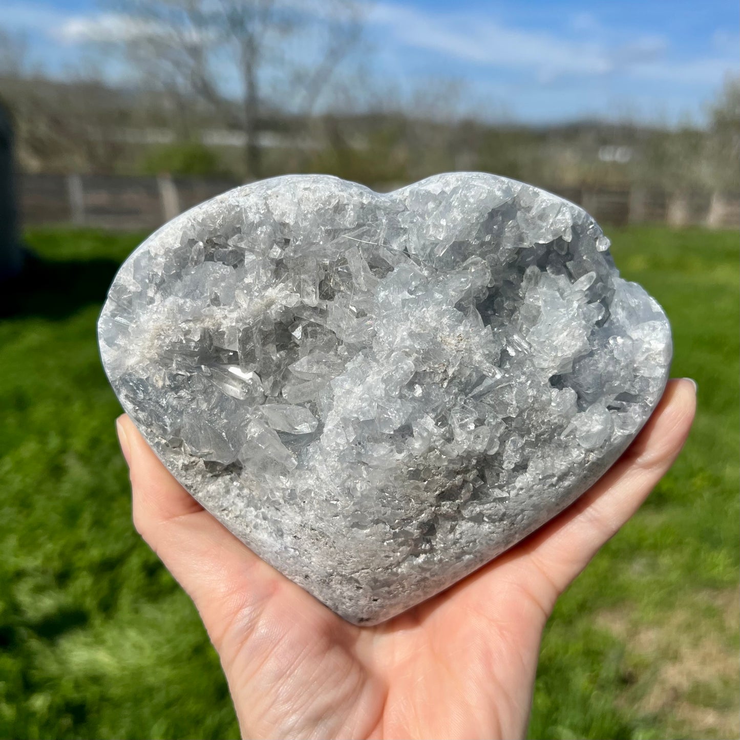 Blue Celestite Heart Cluster XLarge
