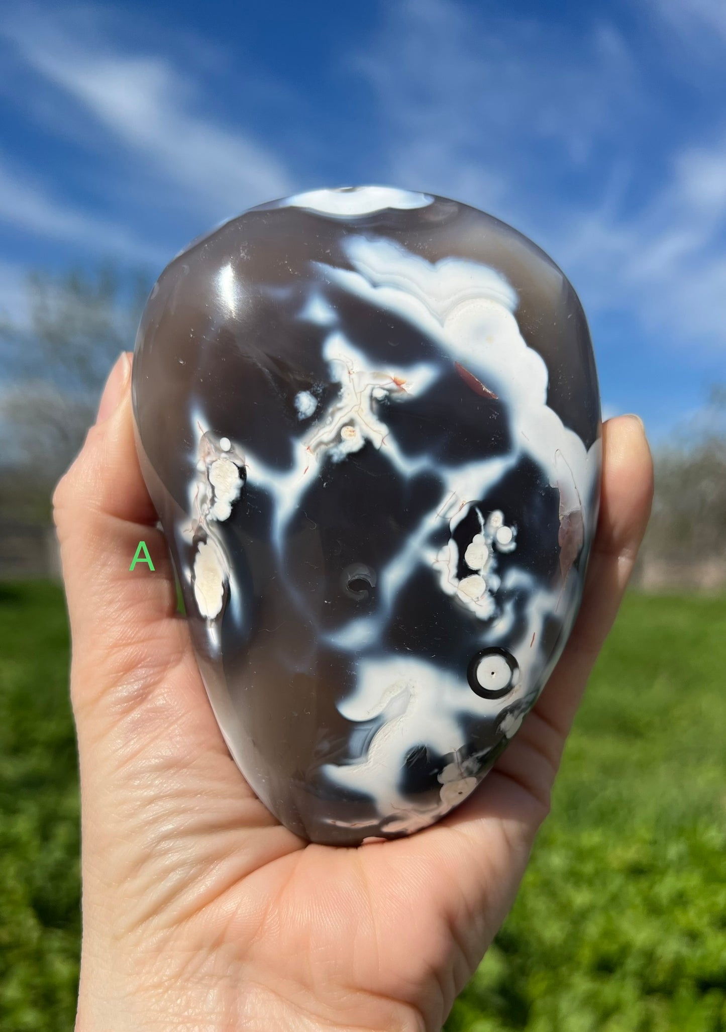 Blue Orca Agate Free Form