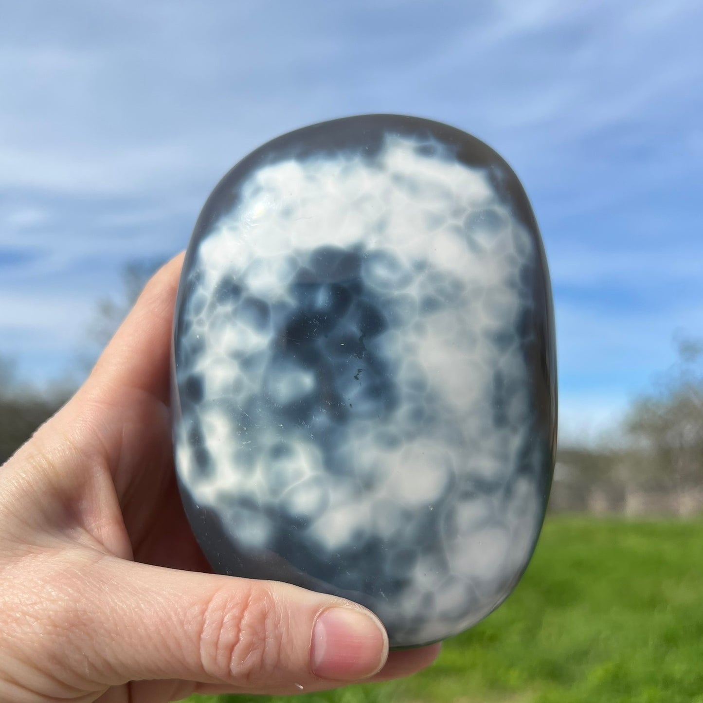 Blue Orca Agate Free Form