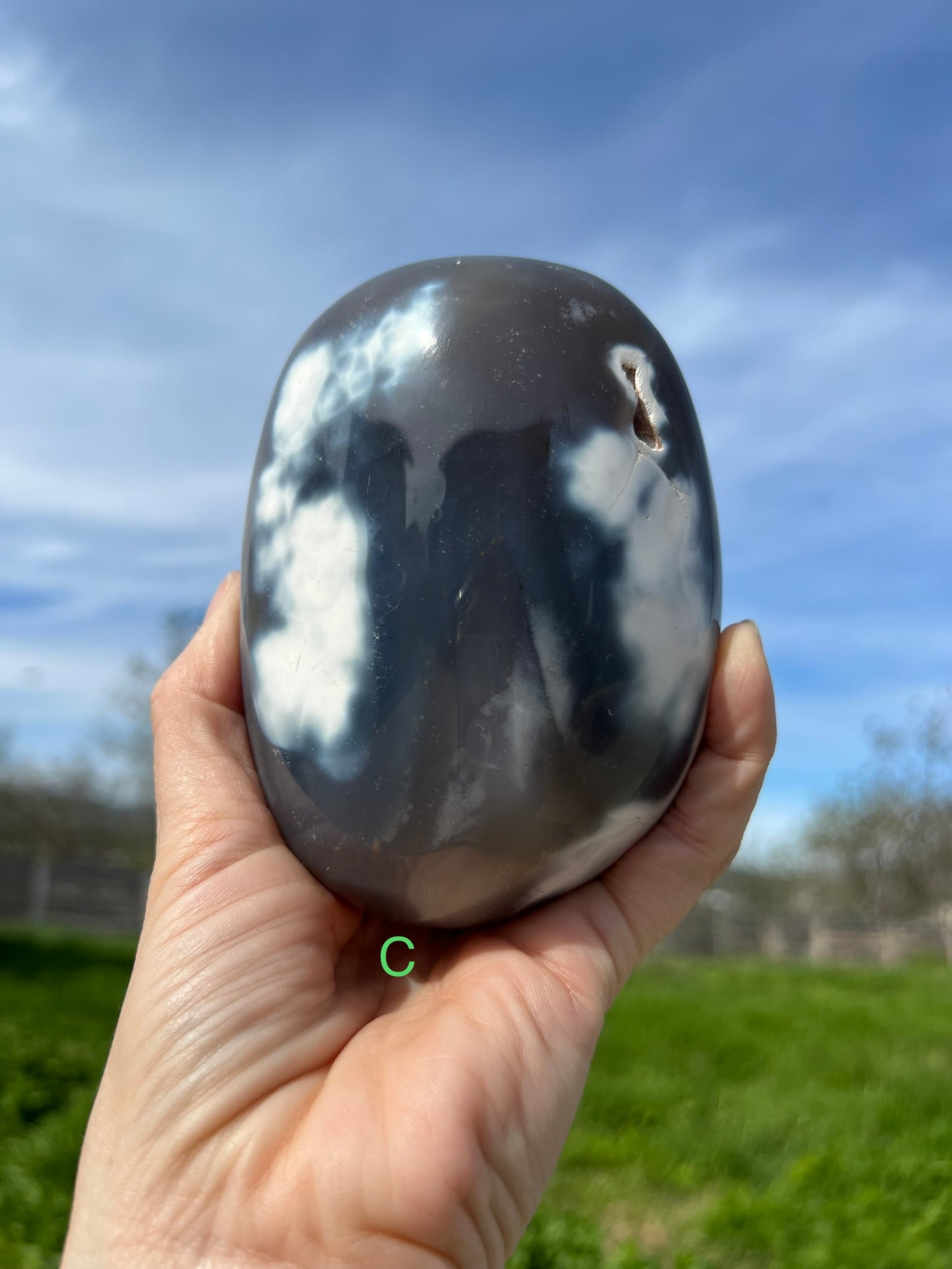 Blue Orca Agate Free Form