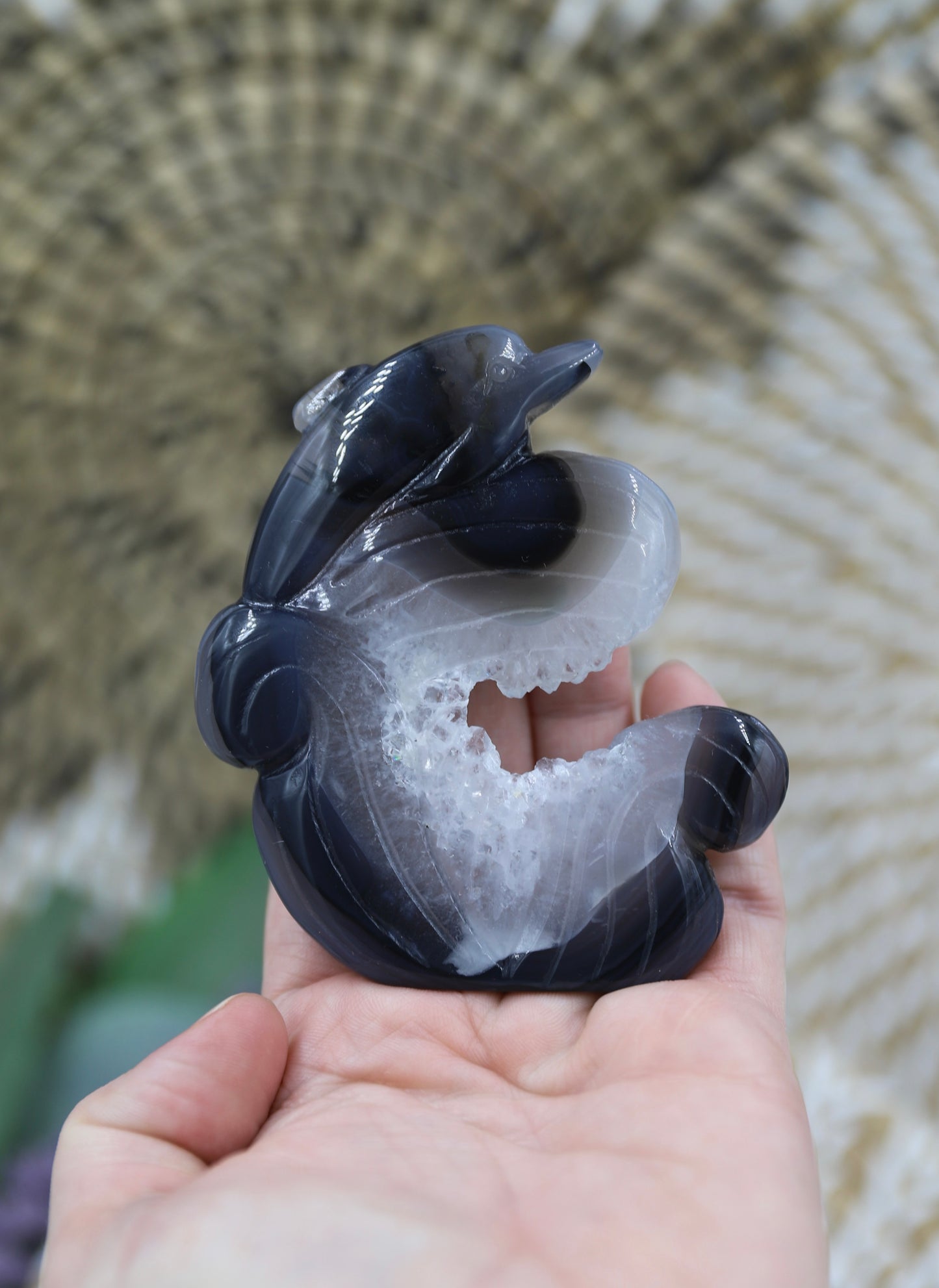 Druzy Agate Dolphin Carving