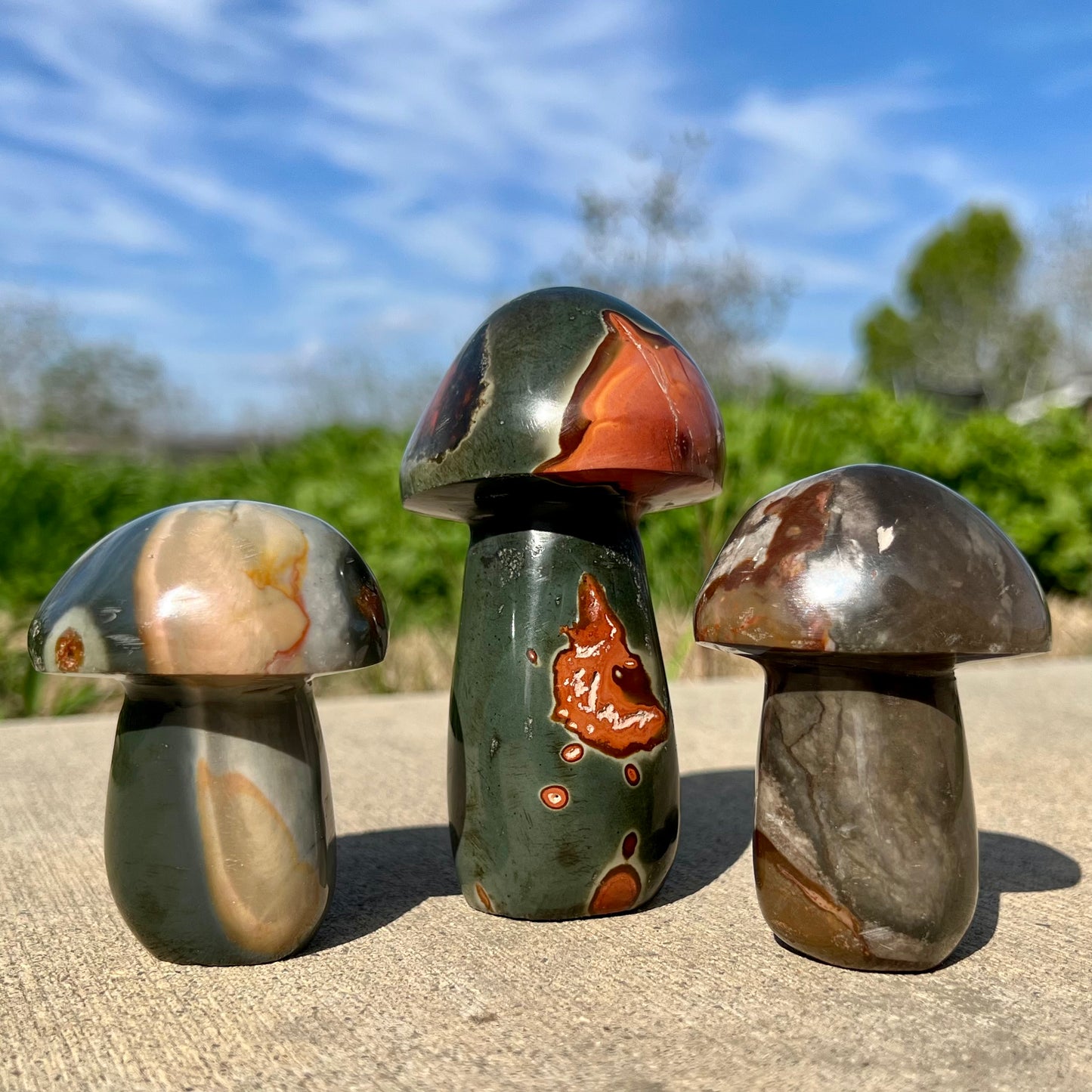 Polychrome Mushroom