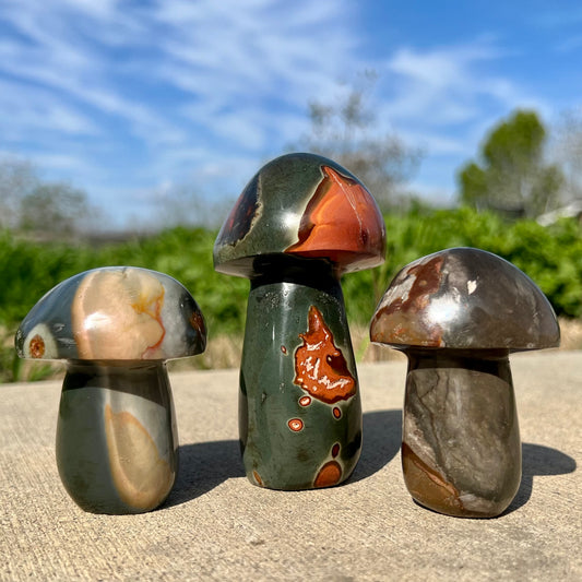 Polychrome Mushroom