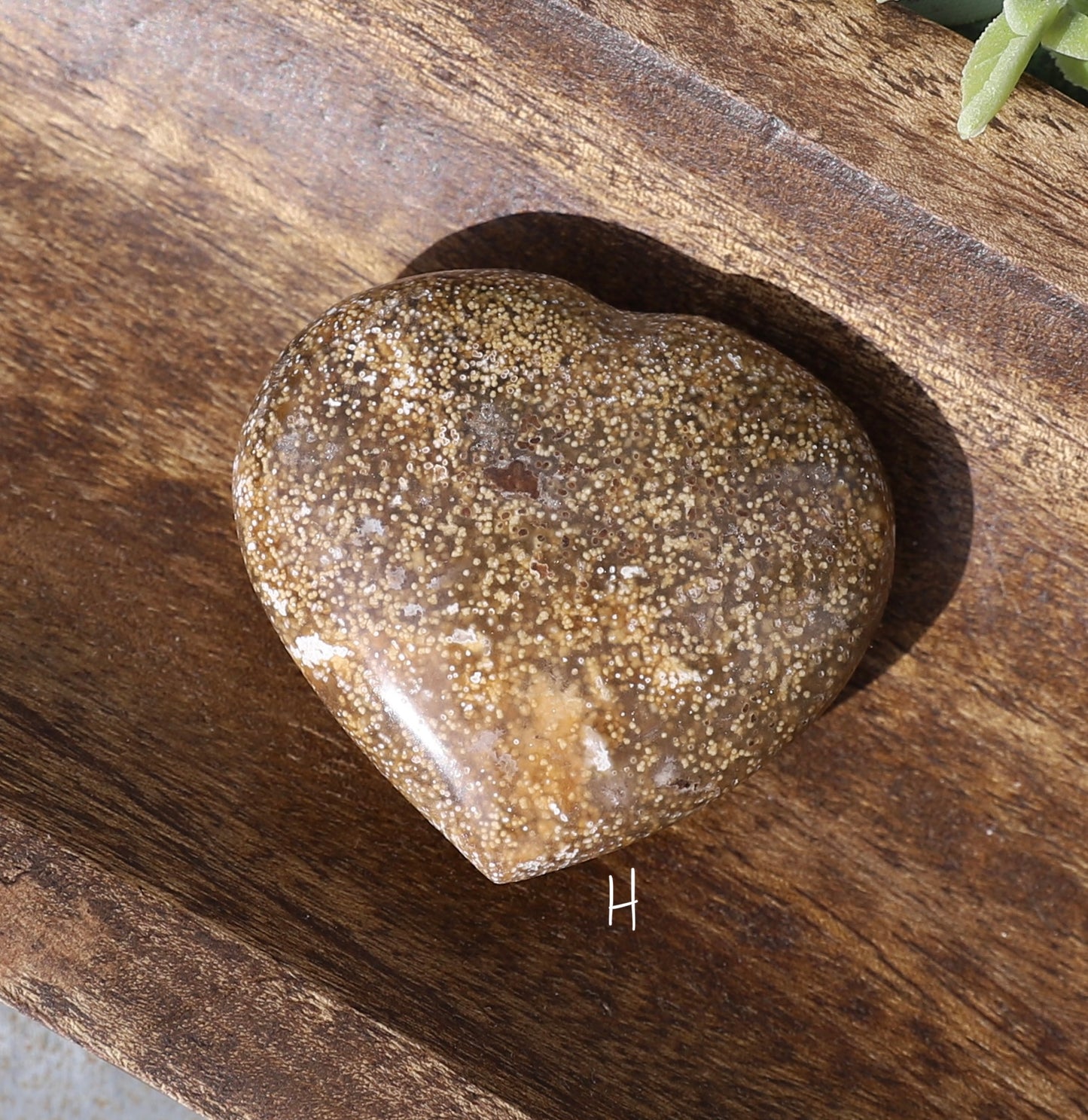 Orbicular Ocean Jasper Heart