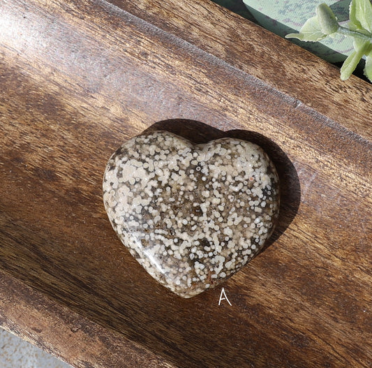 Orbicular Ocean Jasper Heart