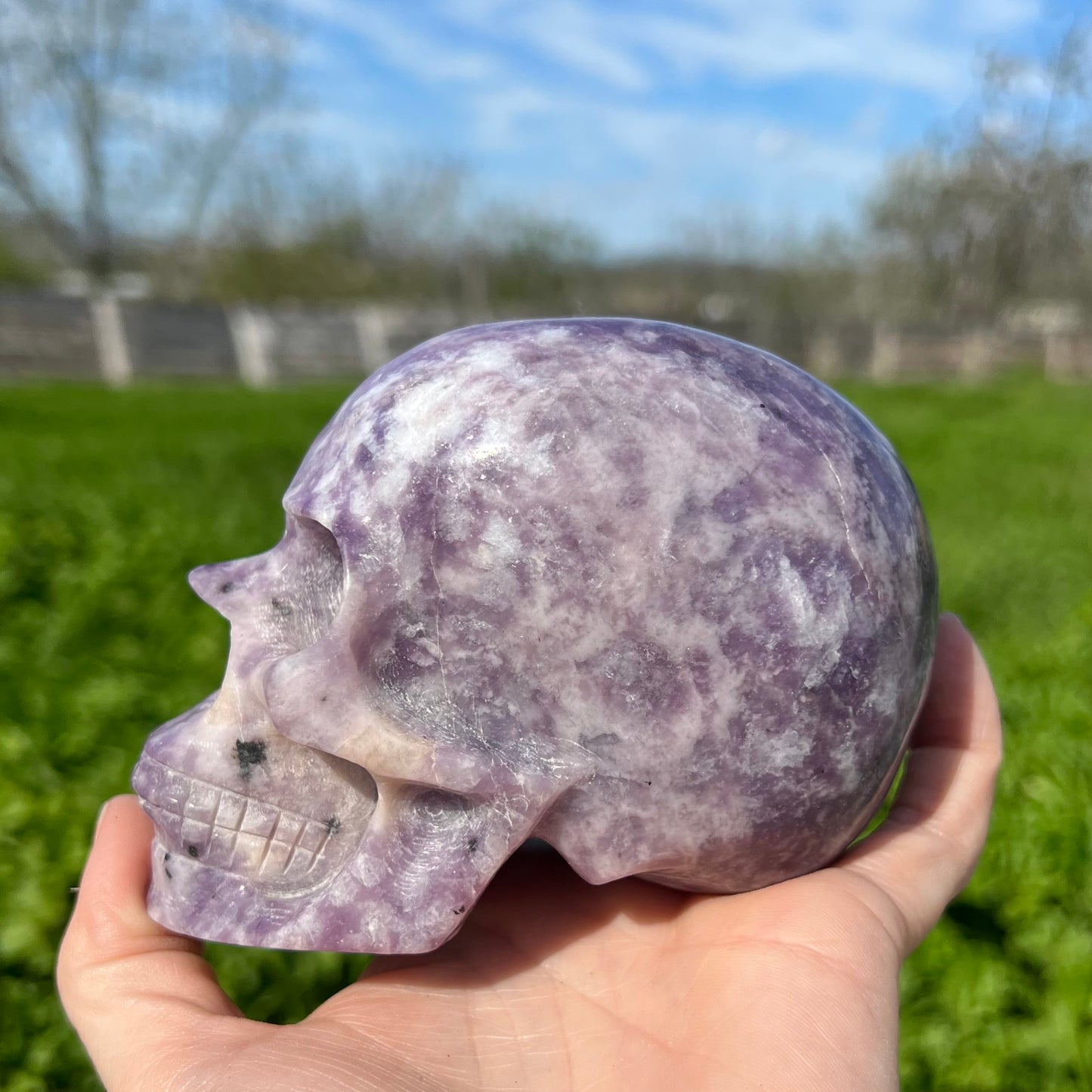 Lepidolite Skull Carving Large