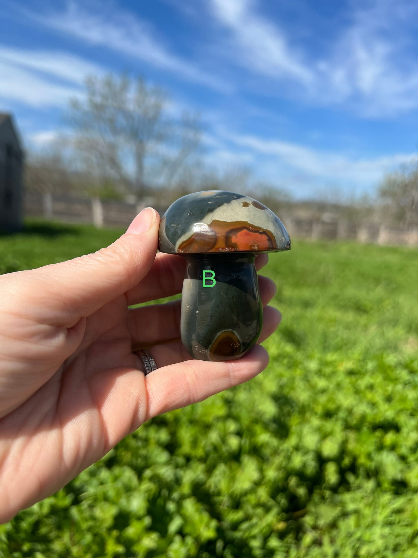 Polychrome Mushroom