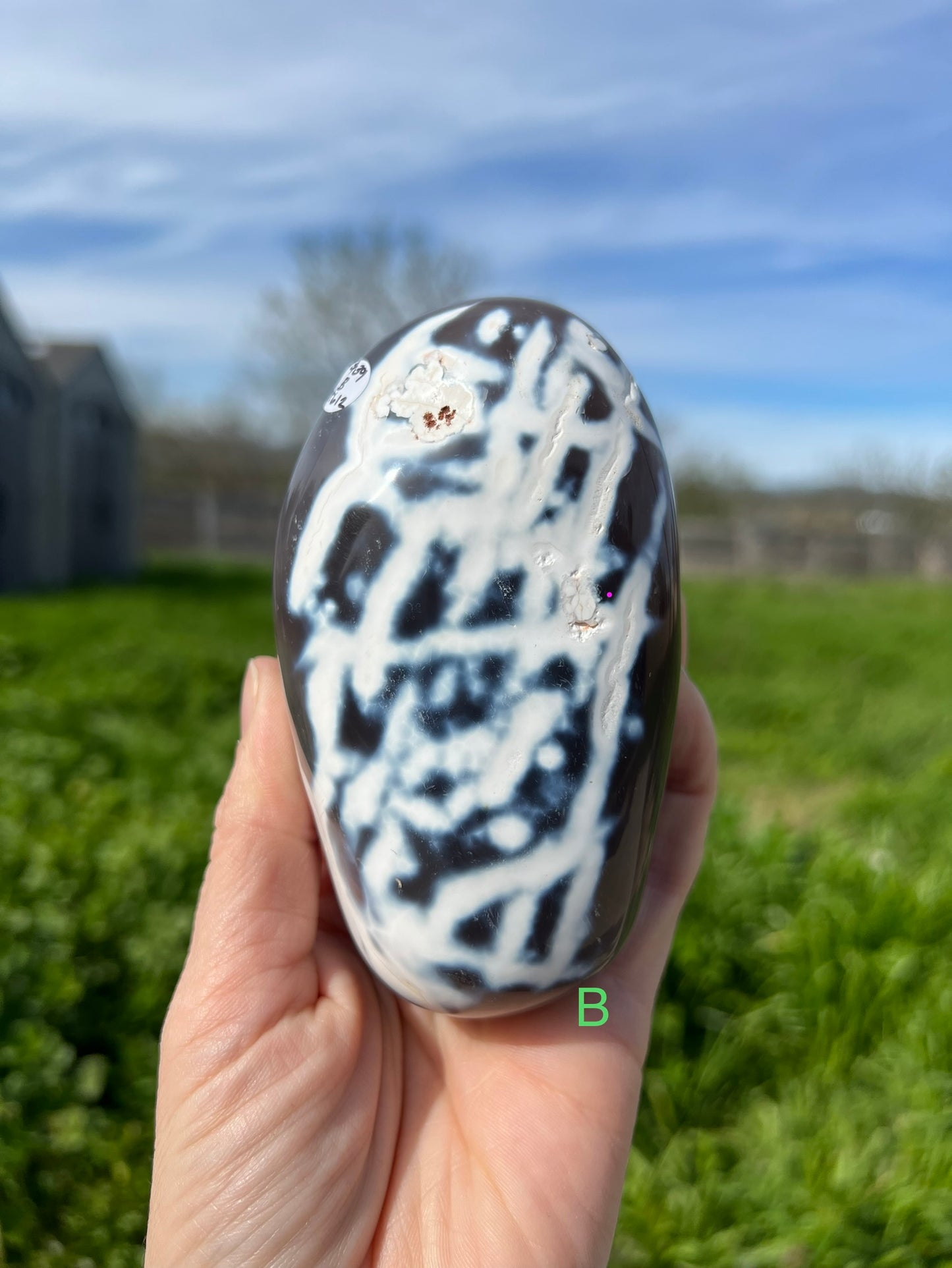 Blue Orca Agate Free Form