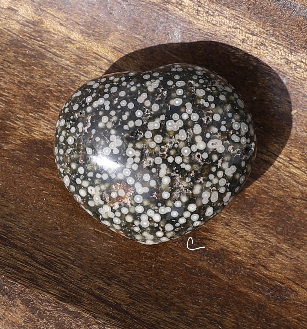 Orbicular Ocean Jasper Heart