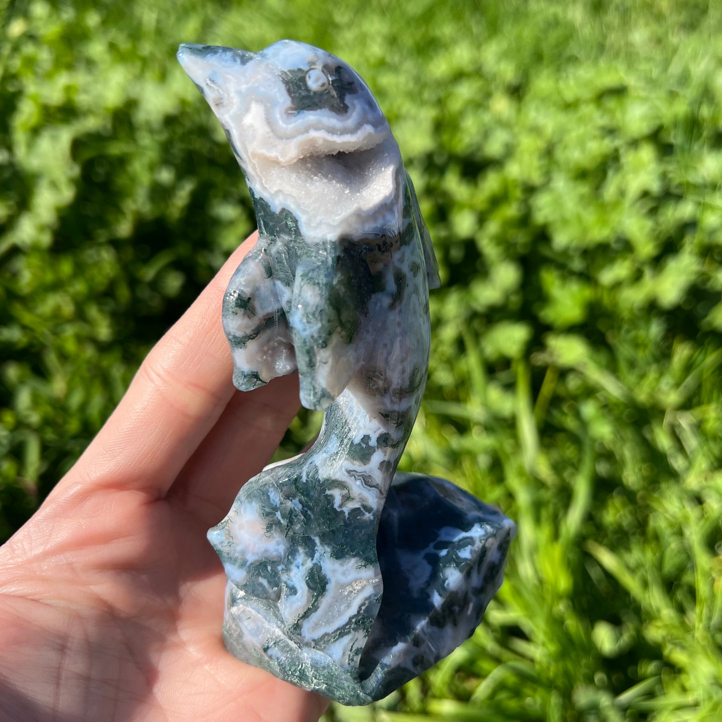 Moss Agate Druzy Dolphine Carving Large