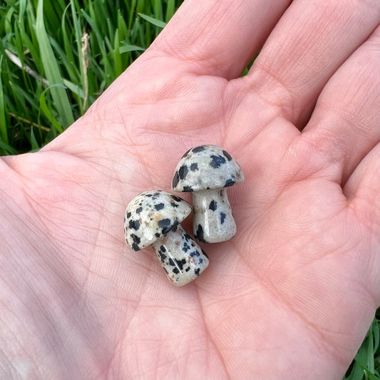Dalmatian Jasper Mini Mushroom
