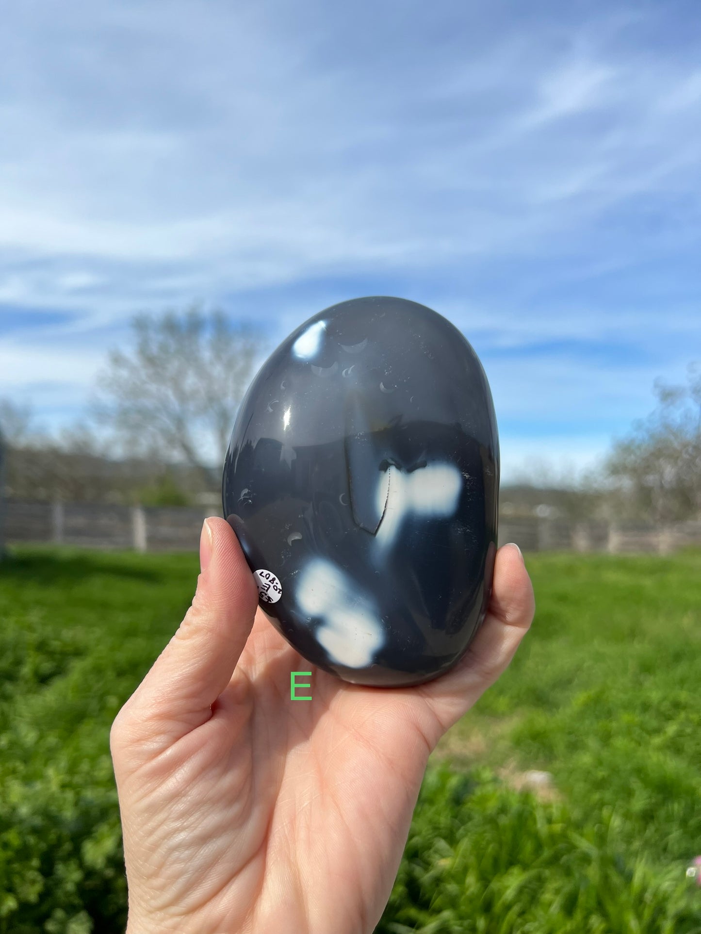 Blue Orca Agate Free Form